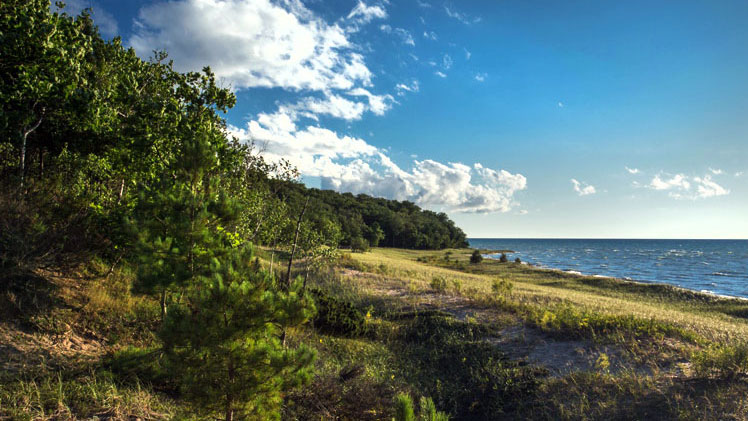 Image of a beachy park in Michigan